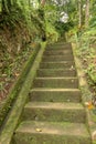 Old stone steps leading in to tropical jungle trekking and walki Royalty Free Stock Photo