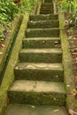 Old stone steps leading in to tropical jungle trekking and walki Royalty Free Stock Photo