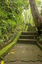 Old stone steps leading in to tropical jungle trekking and walki Royalty Free Stock Photo