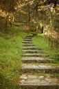 Old Stone Steps