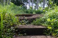 Old stone steps in the rainforest