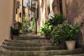 Old Stone Street Stairs Decorated With Green Plants Royalty Free Stock Photo