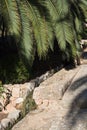 Old stone structure and palm leaves