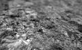 Old stone surface with blur effect in black and white Royalty Free Stock Photo
