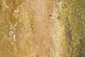 Old stone surface with yellow and green lichen Royalty Free Stock Photo