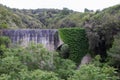 Old Stone Viaduct Against the Backdrop of Green Vegetation in Calabria, Italy, Surrounded by Trees and Mountains Royalty Free Stock Photo