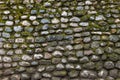 Old stone wall covered with clumps of green moss and lichen