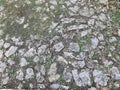 Old stone wall with moss and lichen Abstract background for design