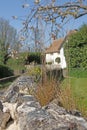 Old Stone Wall in Gittisham, England Royalty Free Stock Photo