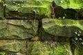 Old stone wall and green ivy Royalty Free Stock Photo