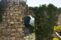 An old stone wall with green plants Royalty Free Stock Photo