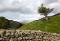 Old stone wall in Lake District Royalty Free Stock Photo