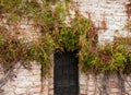 Old stone wall with metall door surrounded with ivy plants Royalty Free Stock Photo