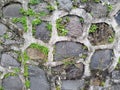 Old Stone Wall with Moss and Green Plants Texture Royalty Free Stock Photo