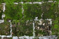 Old stone wall with moss and lichen Royalty Free Stock Photo