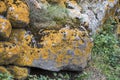 Old stone wall, moss and mold on the stone Royalty Free Stock Photo