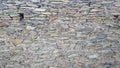 Old stone wall of natural stone Royalty Free Stock Photo