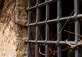 Old stone wall part of the citadel iron grid black entwined with wild grapes dry vine