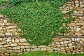 Old Stone Wall With Plants Royalty Free Stock Photo