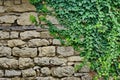 Old Stone Wall With Plants Royalty Free Stock Photo