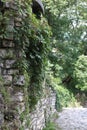 Old stone wall with rounded corner and ivy branches