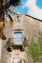 Old stone wall of a ruined building with a balcony, overgrown with ivy Royalty Free Stock Photo