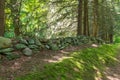 An old stone wall separates the roadside from the forest Royalty Free Stock Photo