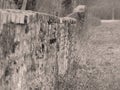Old stone wall in sepia