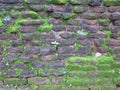 Old stone wall in Srilanka Royalty Free Stock Photo