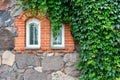 Old stone wall with a window and green vines Royalty Free Stock Photo