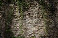Old stone walls fortress with green ivy.Real texture of old stone bricks. Quality photo background of brickwork. Good for 3D works