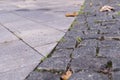 Old stoneblock pavement cobbled with square granite blocks with grass sprouted at autumn. background, nature. Royalty Free Stock Photo