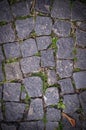 Old stoneblock pavement cobbled with square granite blocks with grass sprouted texture with vignette. background, nature. Royalty Free Stock Photo