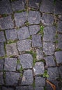 Old stoneblock pavement cobbled with square granite blocks with grass sprouted texture with vignette. background, nature. Royalty Free Stock Photo
