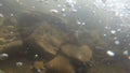 Old stones covered with mule and brown silt lie at the bottom of the river