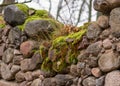 Old stones overgrown with moss and lichens, stone wall from old castle ruins, autumn in the park