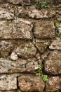 Old stonewall with plants Royalty Free Stock Photo