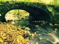 Old stony bridge above autumn river. Water of stream full of colorful leaves, leaves on gravel, blue blurred water is running over Royalty Free Stock Photo