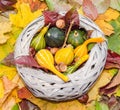 Old straw basket filled with baby pumpkins on the autumn colored leaves