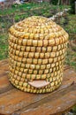 Old straw beehive standing on a wood table outdoors Royalty Free Stock Photo