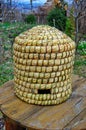 Old straw beehive standing on a wood table outdoors Royalty Free Stock Photo