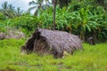 Old straw hut in tropical jungle. Rural house in palm trees. Cheap habitation. Village architecture. Poverty in Africa. Royalty Free Stock Photo