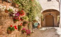 Old street with flowers, Spello, Umbria, Italy