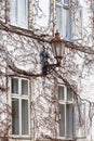 Old street lamp on a house wall with ivy Royalty Free Stock Photo