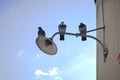 Old street lamp Royalty Free Stock Photo