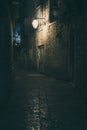 Old street at night illuminated by vintage streetlight Royalty Free Stock Photo