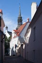 Old street and Saint Mary Cathedral, Tallinn Royalty Free Stock Photo