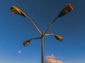 Old streetlights during the sunset against the blue sky Royalty Free Stock Photo