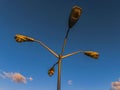 Old streetlights during the sunset against the blue sky Royalty Free Stock Photo