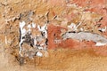 An old, stripped wall with layers of peeling old paint Royalty Free Stock Photo